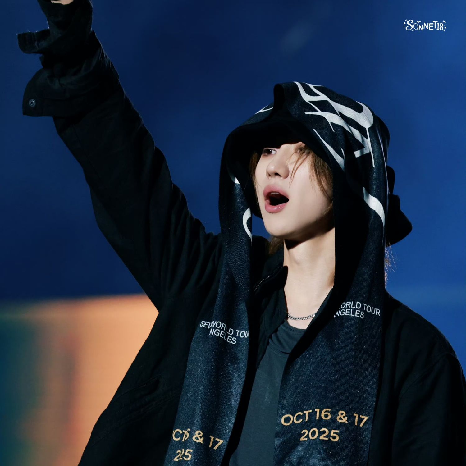 A moment captured by The 8 (SEVENTEEN)'s fan