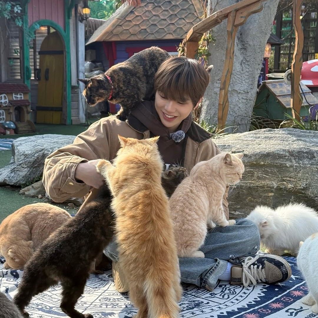 강다니엘의 비하인드 컷