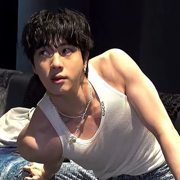 Signature photo of Jin (BTS) capturing their charm