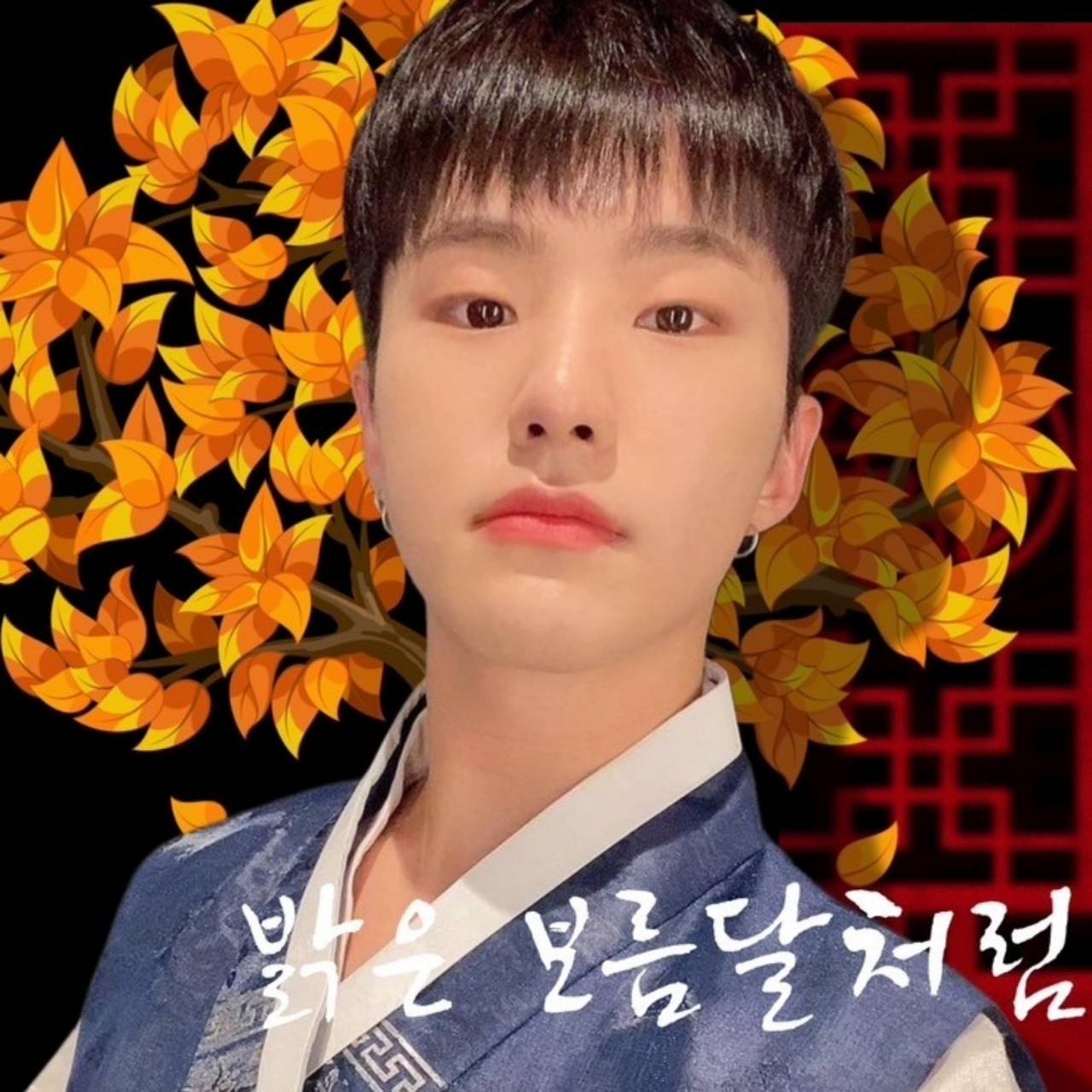 호시 (세븐틴) 최근 활동샷