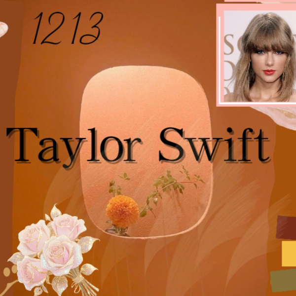 A moment captured by Taylor Swift's fan