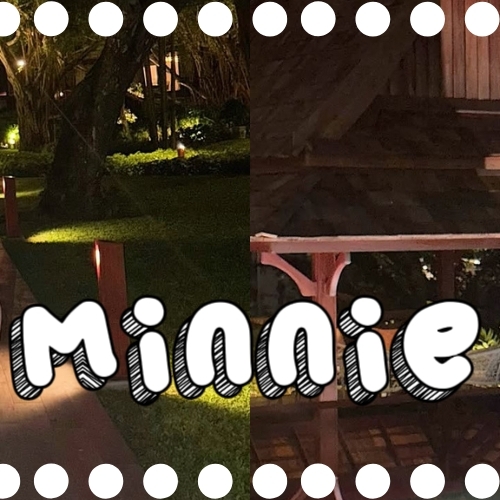 Must-see popular post of 민니 (아이들), your favorite