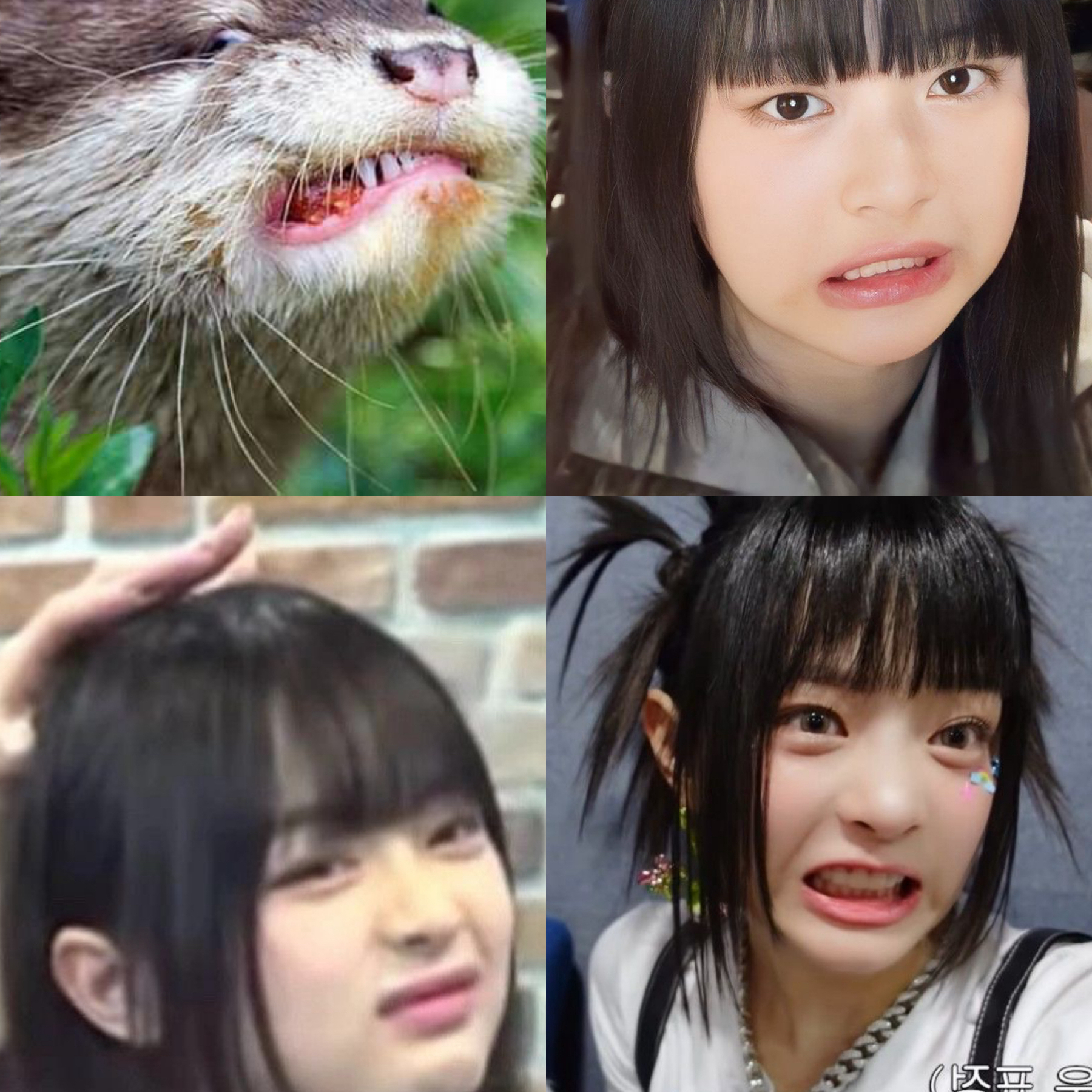 ハニ (NewJeans)の最近の活動写真