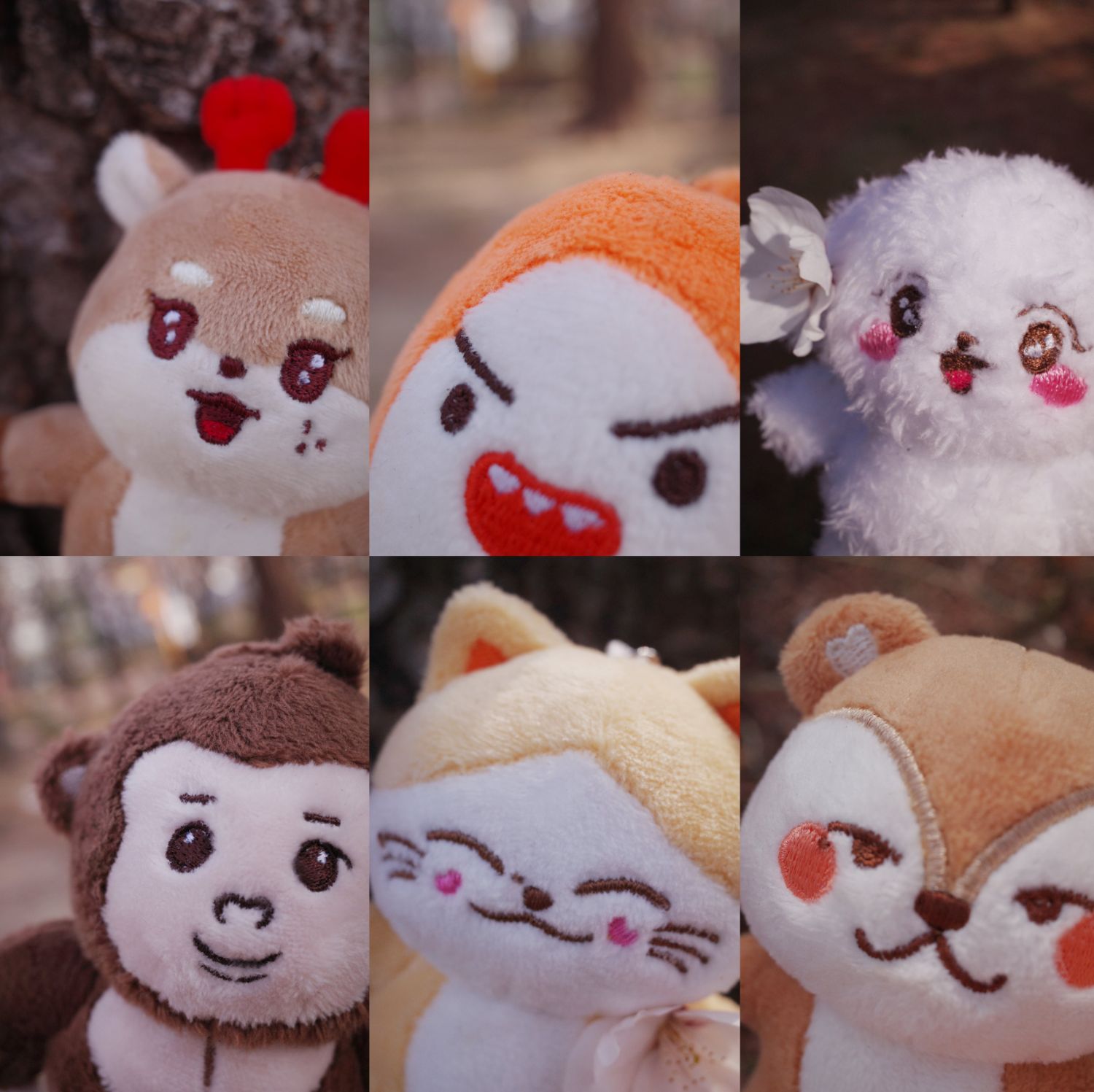 Recent activity shot of ONF