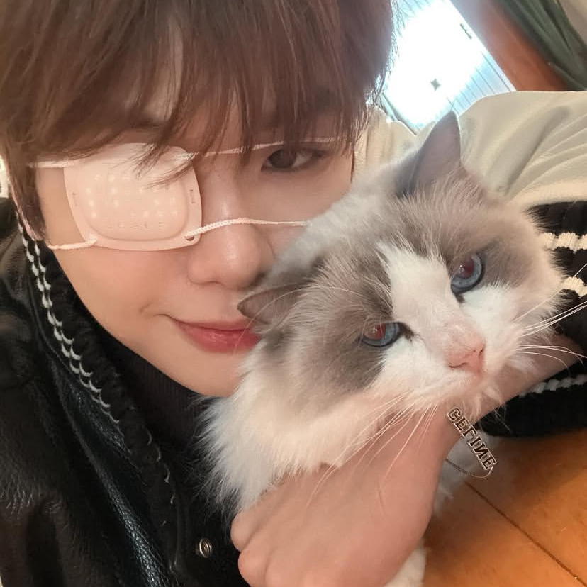 Recent activity shot of Kang Daniel