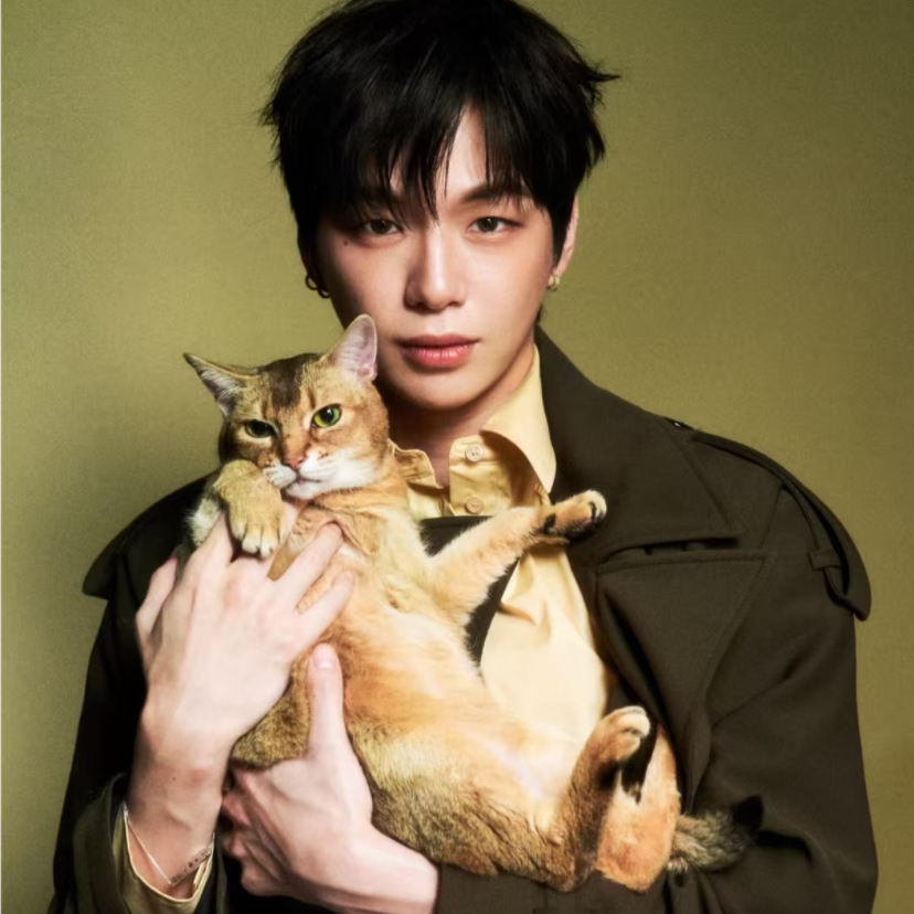 Potret di balik layar Kang Daniel