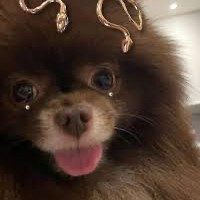 ジェニー (BLACKPINK)の最新写真