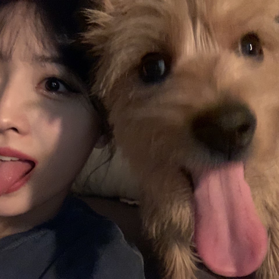 Behind-the-scenes cut of Momo (TWICE)