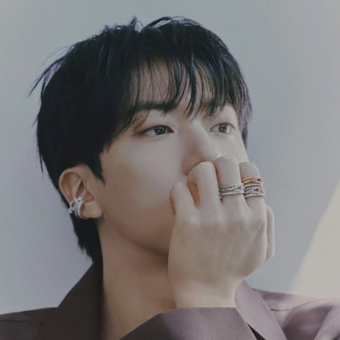 진 (방탄소년단) 팬이 찍은 순간