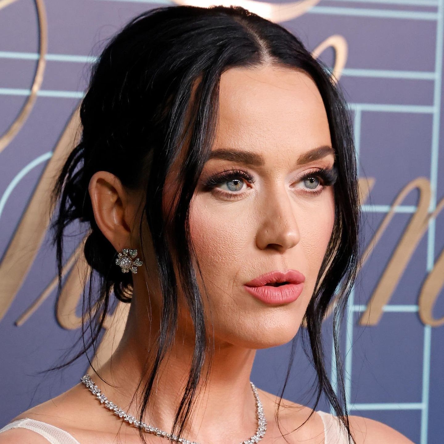 Recent activity shot of Katy Perry