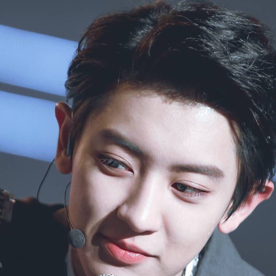 燦烈 (EXO)的最新活動照片