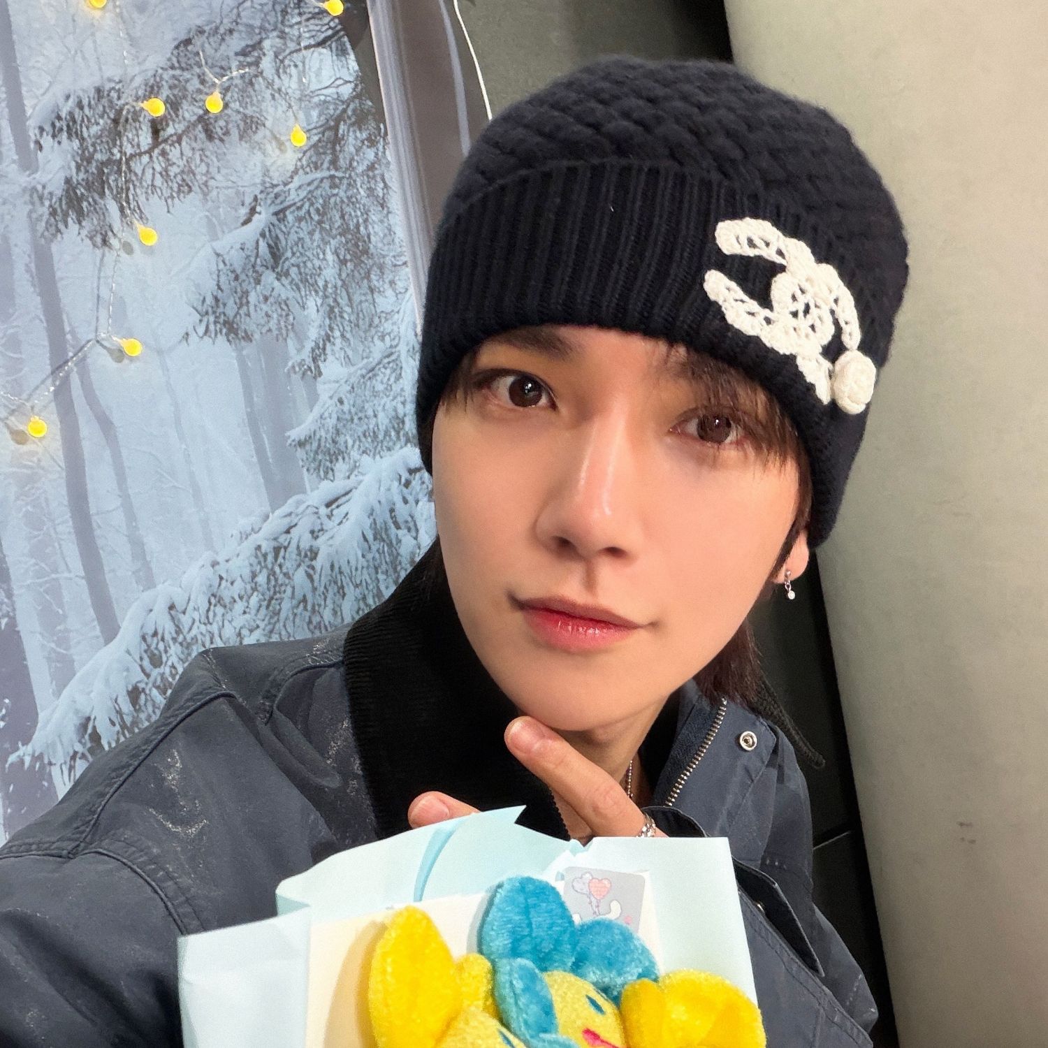 세븐틴 팬이 찍은 순간