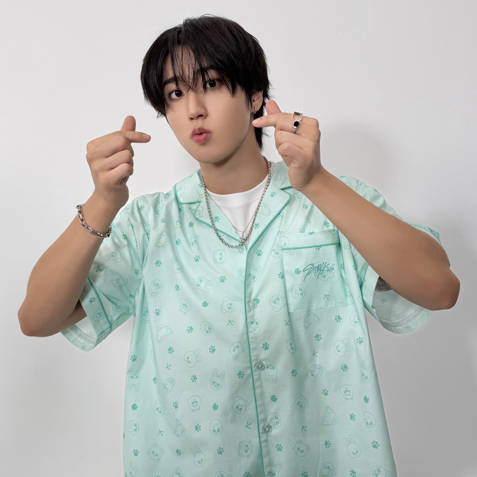 A moment captured by HAN (Stray Kids)'s fan