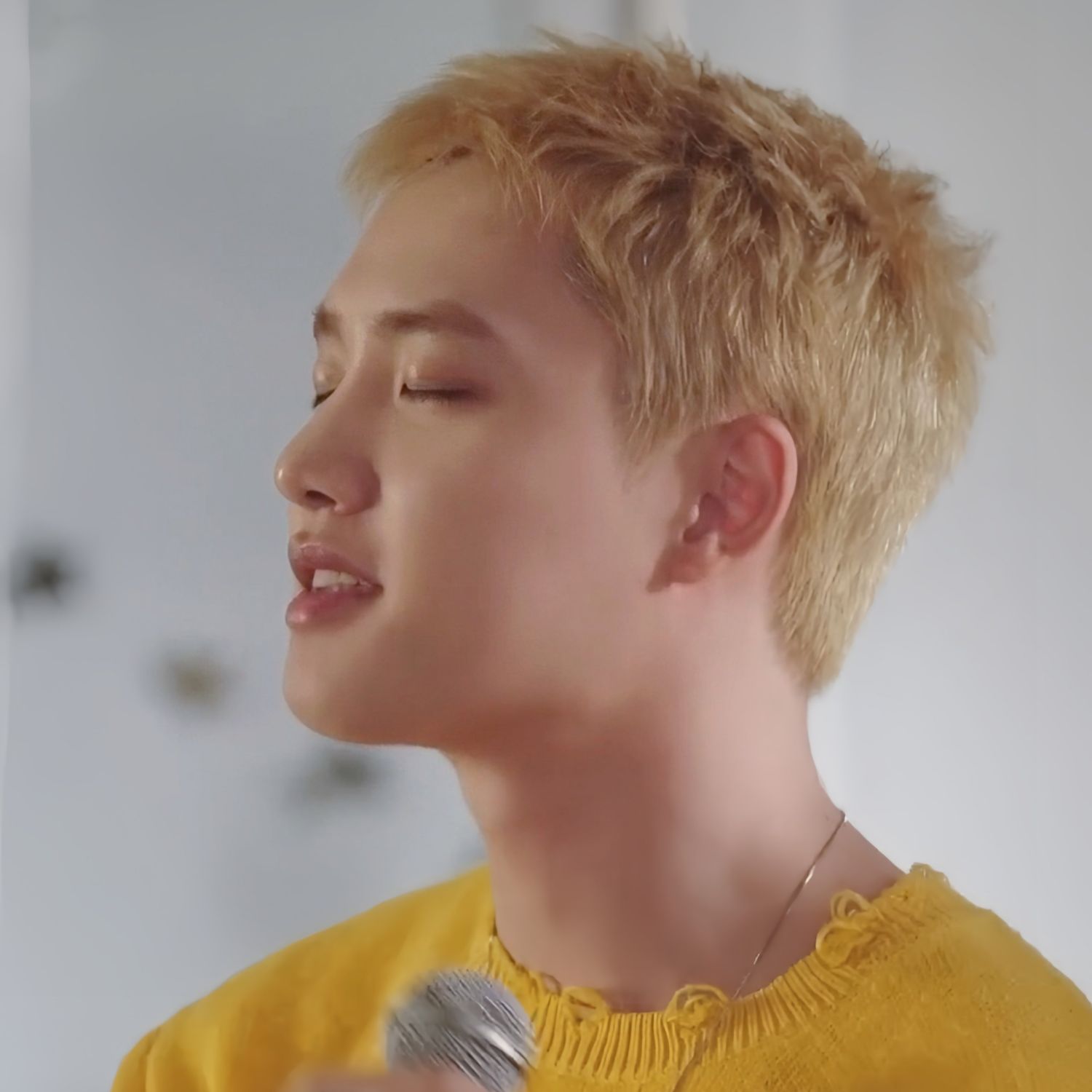 D.O. (EXO)粉絲拍下的瞬間