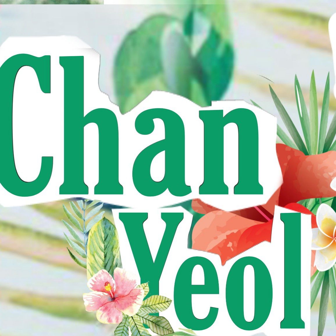 Recent activity shot of Chanyeol (EXO)