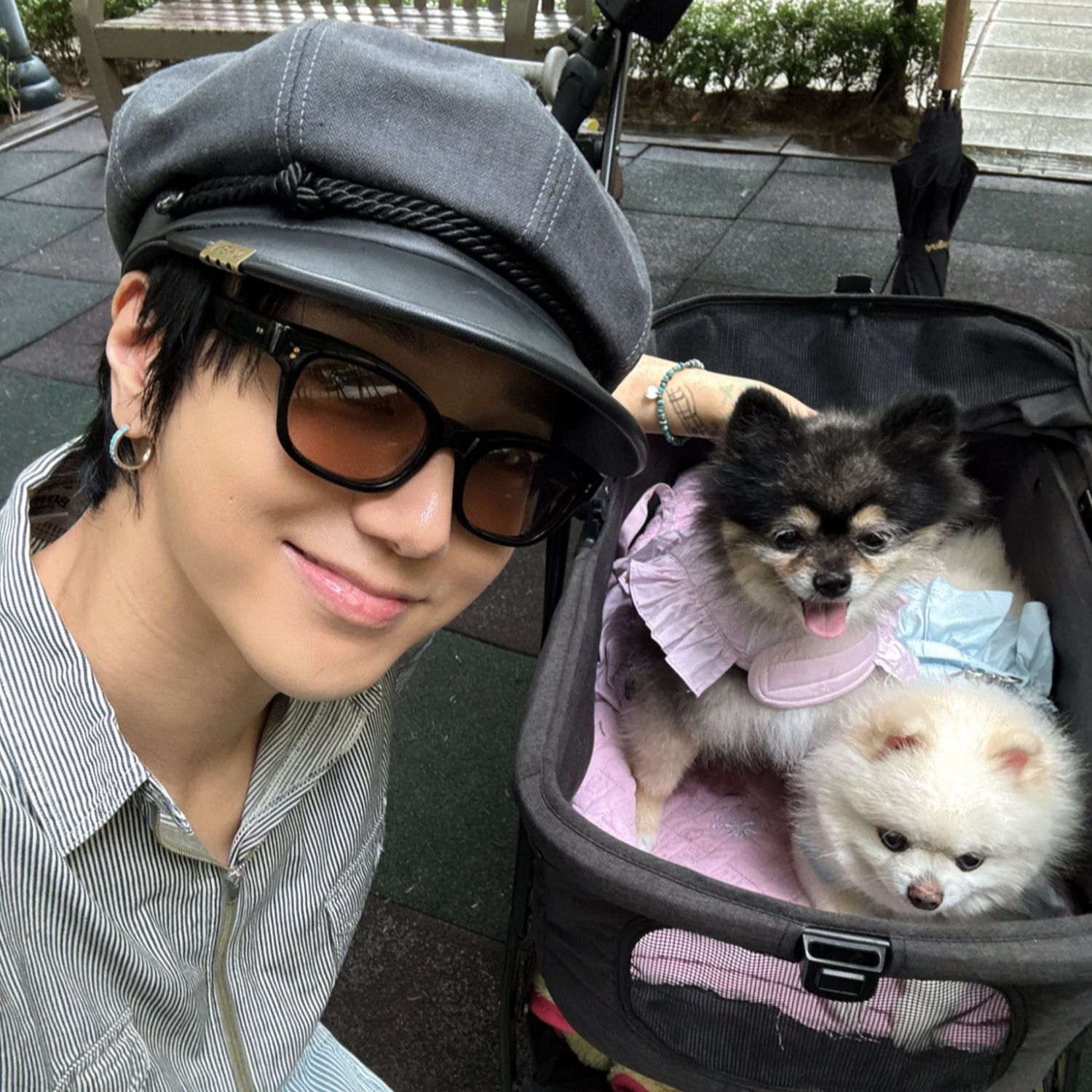 A moment captured by Yesung (Super Junior)'s fan