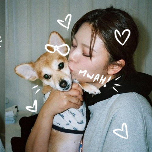 定延 (TWICE)的幕后花絮