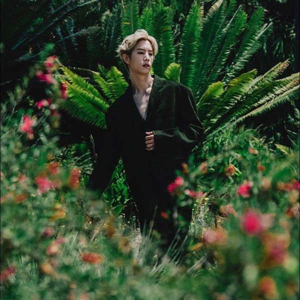 Popular profile picture of Mark (GOT7) loved by fans