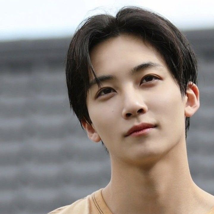 A moment captured by SEVENTEEN's fan