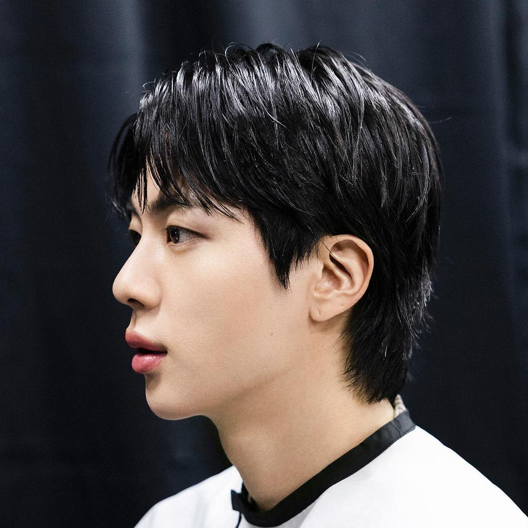 A moment captured by Jin (BTS)'s fan