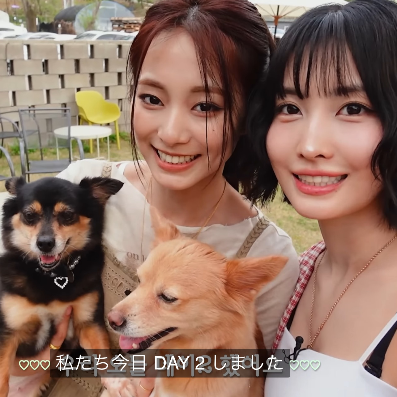 Latest photo of Momo (TWICE)