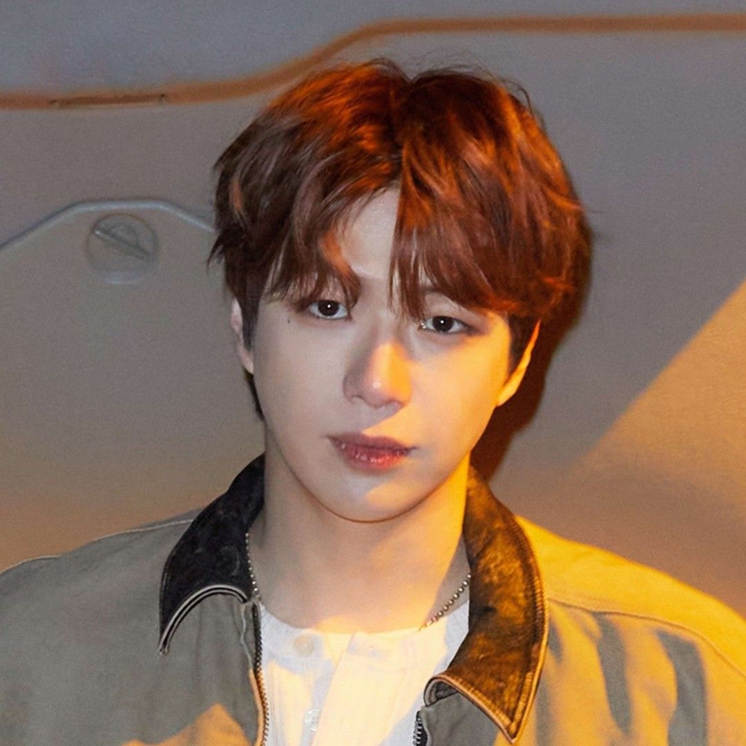 강다니엘 최근 활동샷