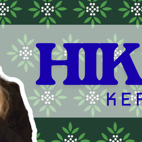 Latest photo of Hikaru (Kep1er)