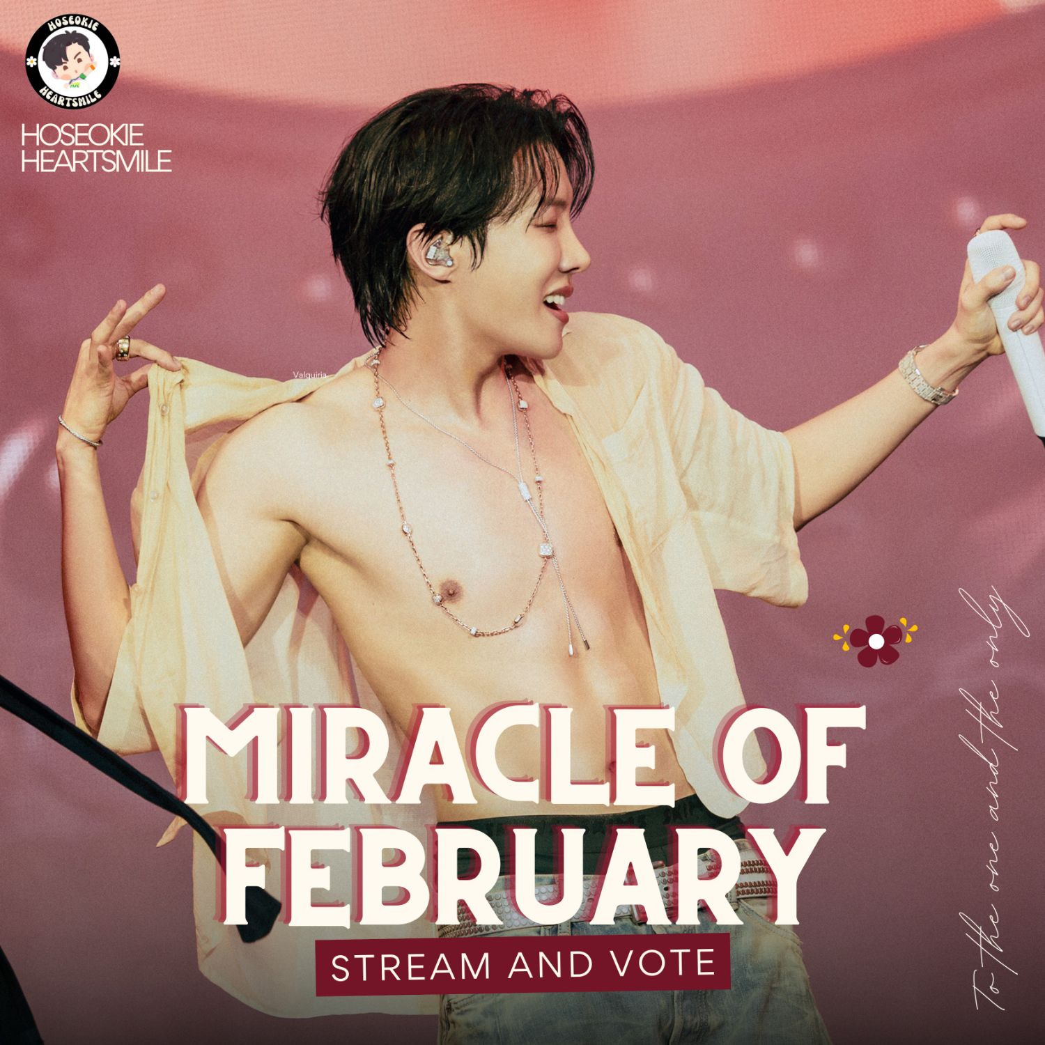 제이홉 (방탄소년단) 팬이 찍은 순간