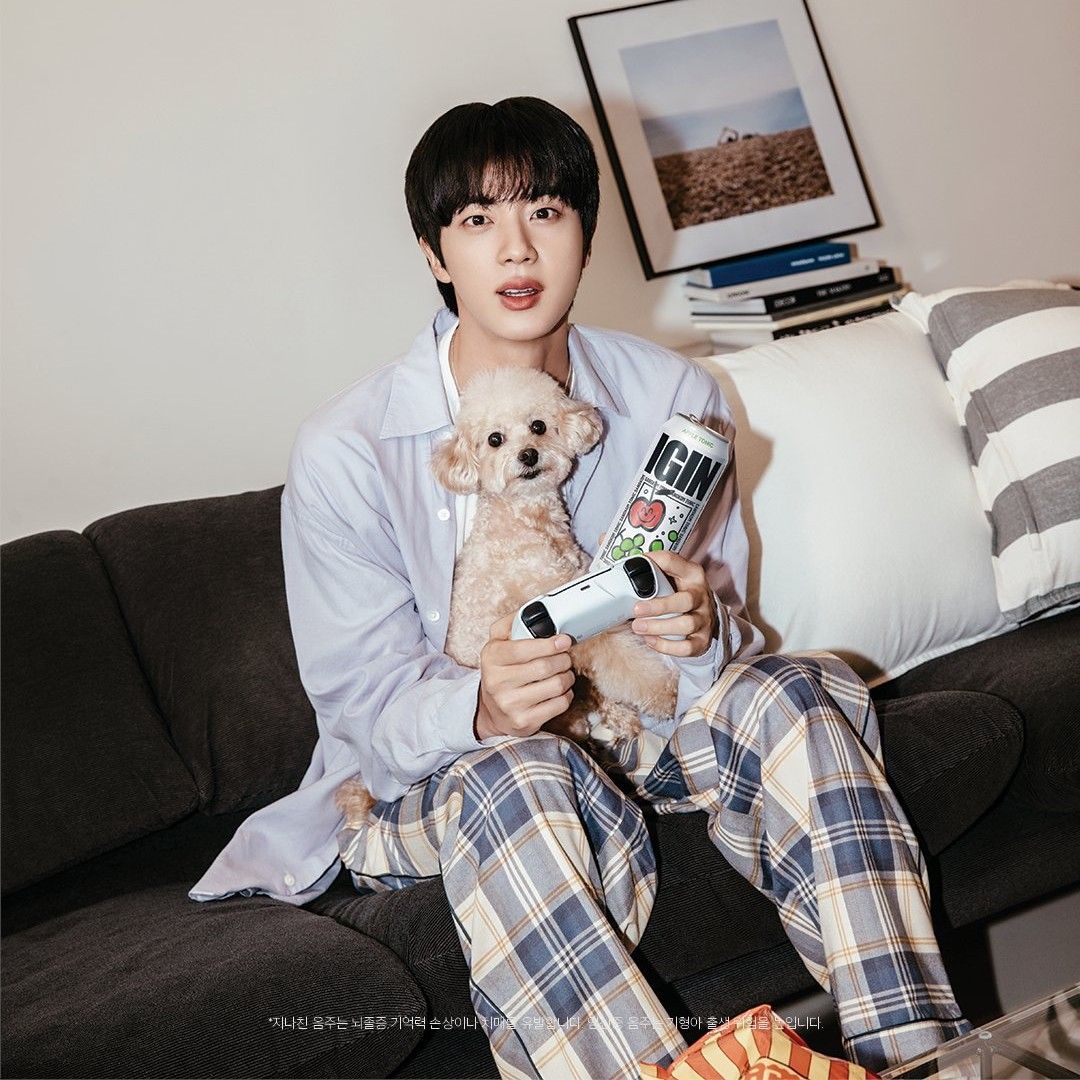 A moment captured by Jin (BTS)'s fan