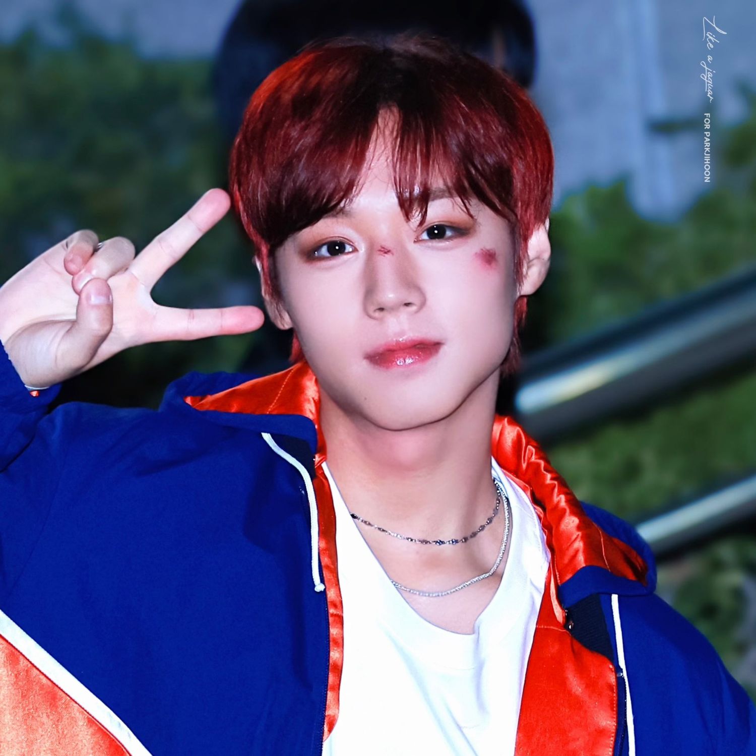 Latest photo of Park Jihoon