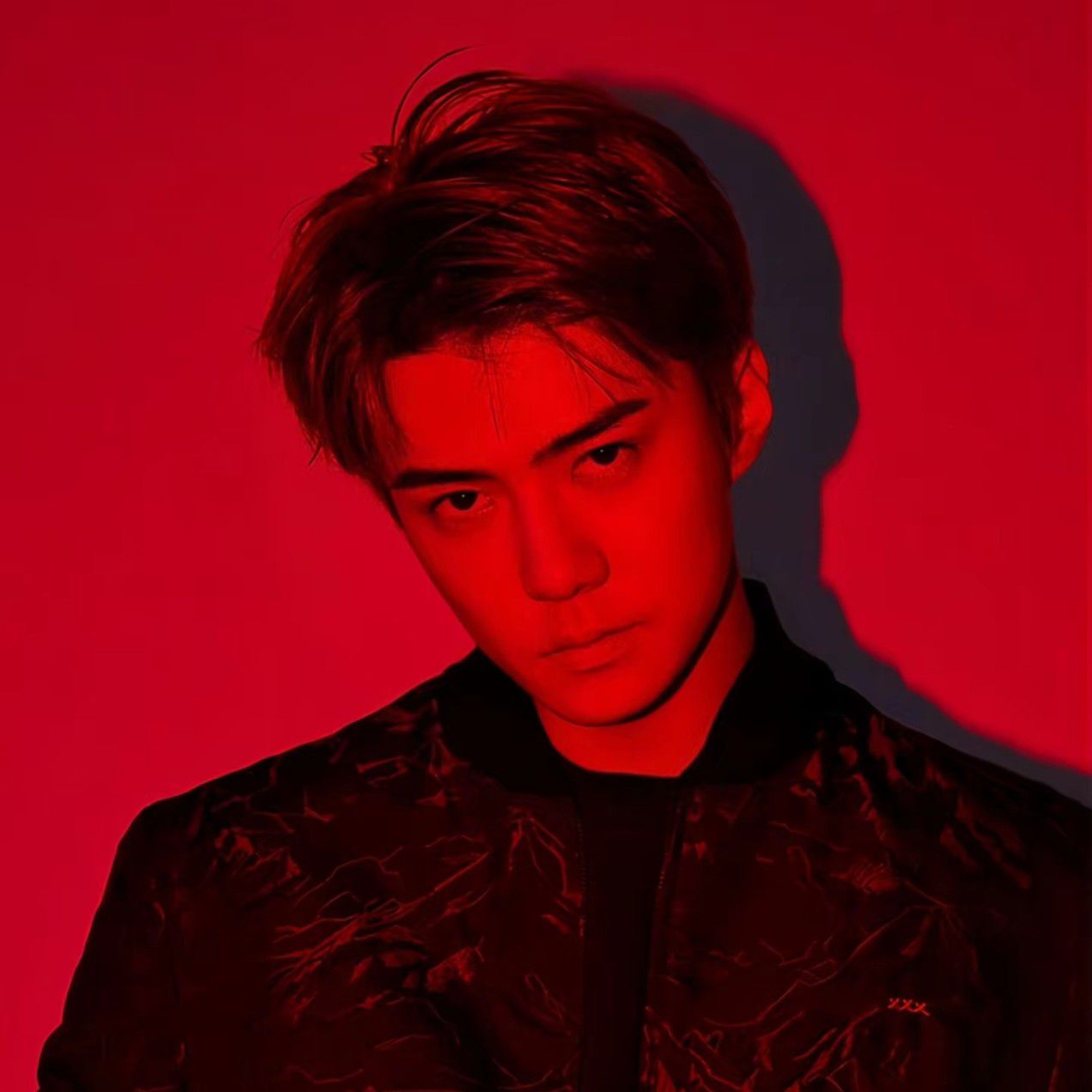 세훈 (EXO) 최근 활동샷