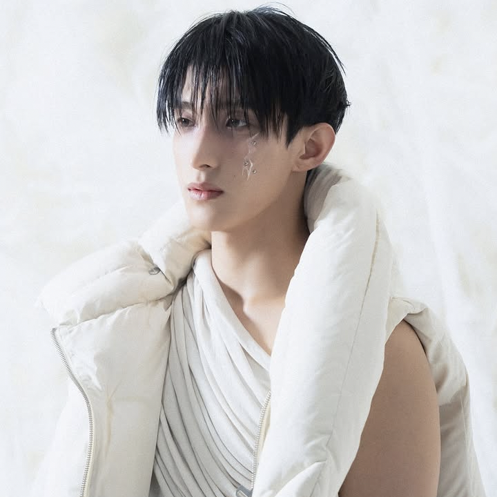 A moment captured by DK (SEVENTEEN)'s fan
