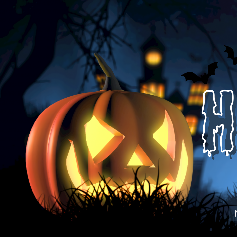 소건 (NEXZ) 팬이 찍은 순간