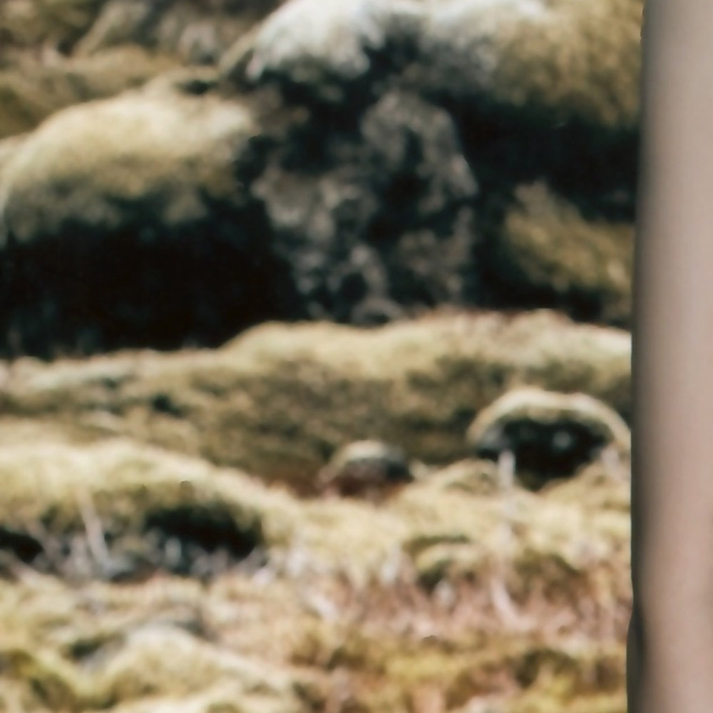 Latest photo of HyunJin (Loossemble)