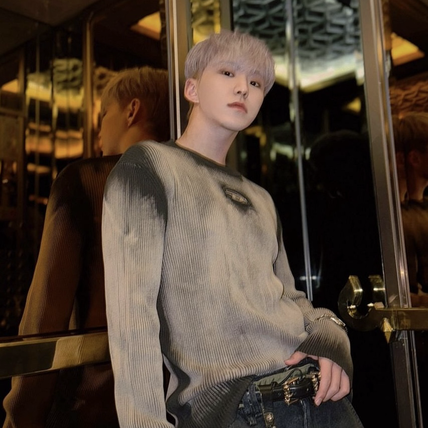 A moment captured by SEVENTEEN's fan