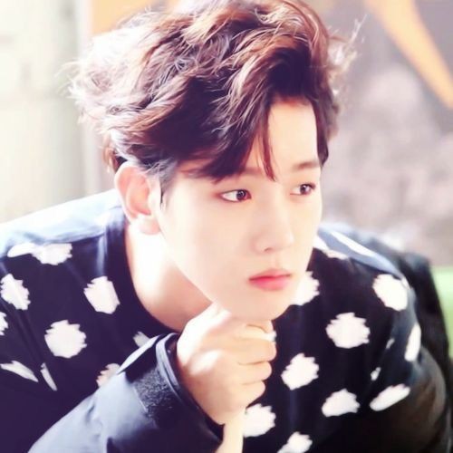 백현 (EXO) 팬이 찍은 순간