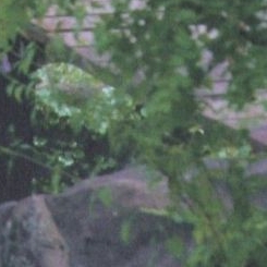 Foto terbaru Dami (DREAMCATCHER)