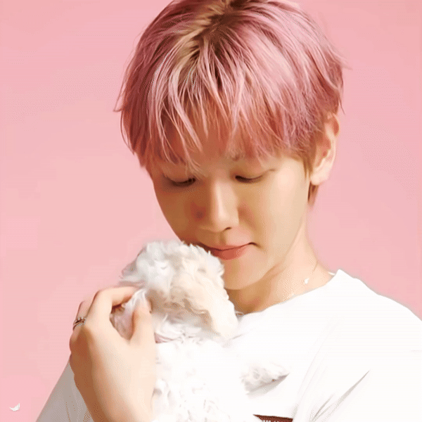 community_articles_contents