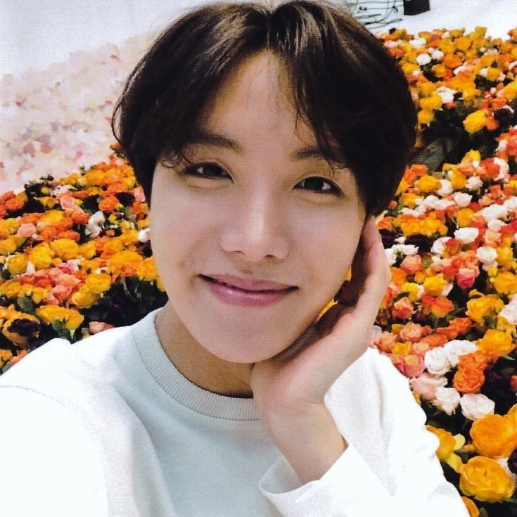 제이홉 (방탄소년단) 팬이 찍은 순간