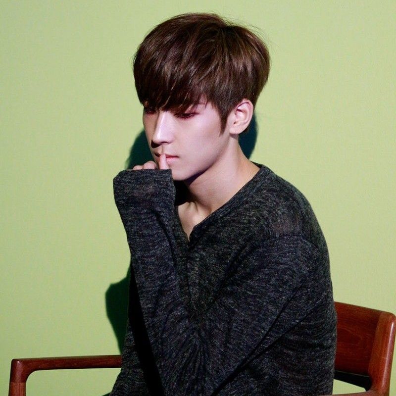 A moment captured by Wonwoo (SEVENTEEN)'s fan