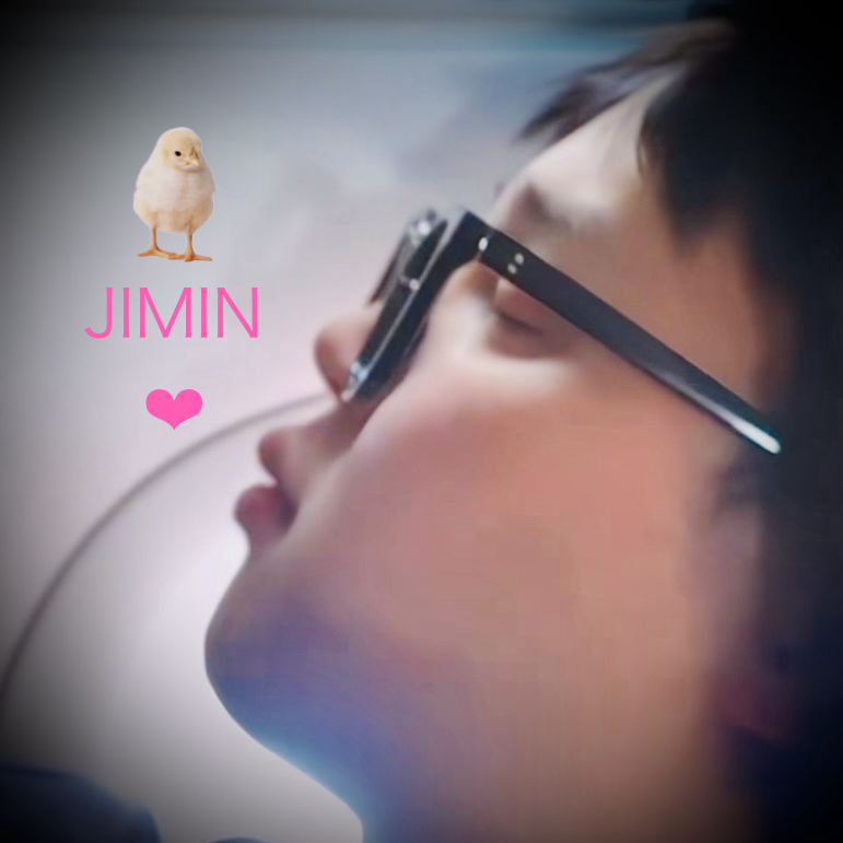 지민 (방탄소년단) 팬이 찍은 순간