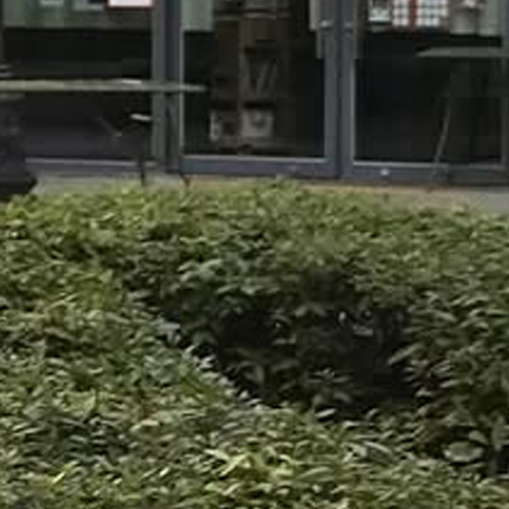 Behind-the-scenes cut of Go Won (Loossemble)