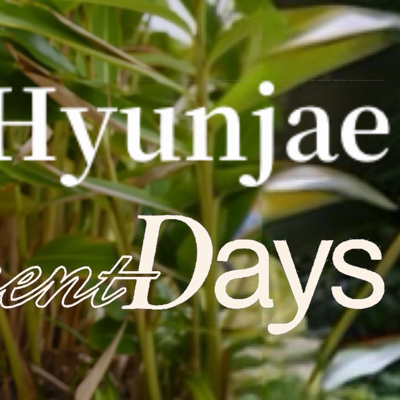A moment captured by Hyunjae (THE BOYZ)'s fan