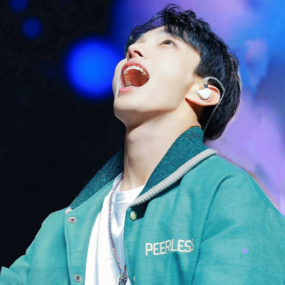 A moment captured by DK (SEVENTEEN)'s fan
