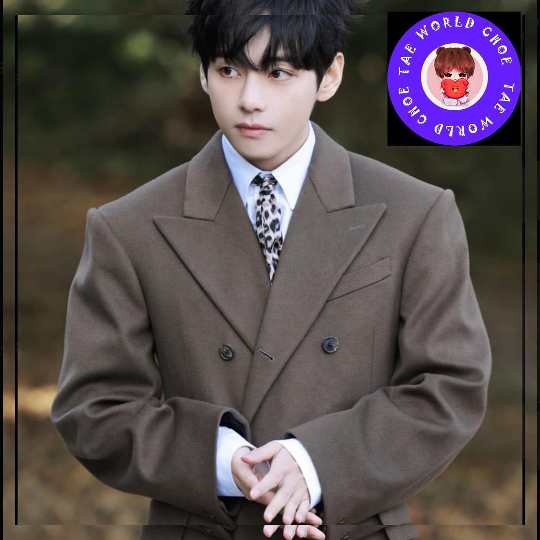 뷔 (방탄소년단) 팬이 찍은 순간