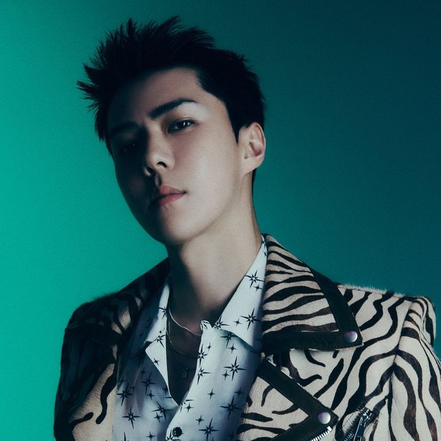 EXOファンが撮った瞬間