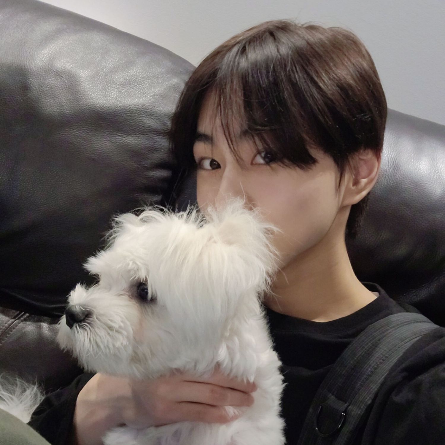 Recent activity shot of Jungwon (ENHYPEN)
