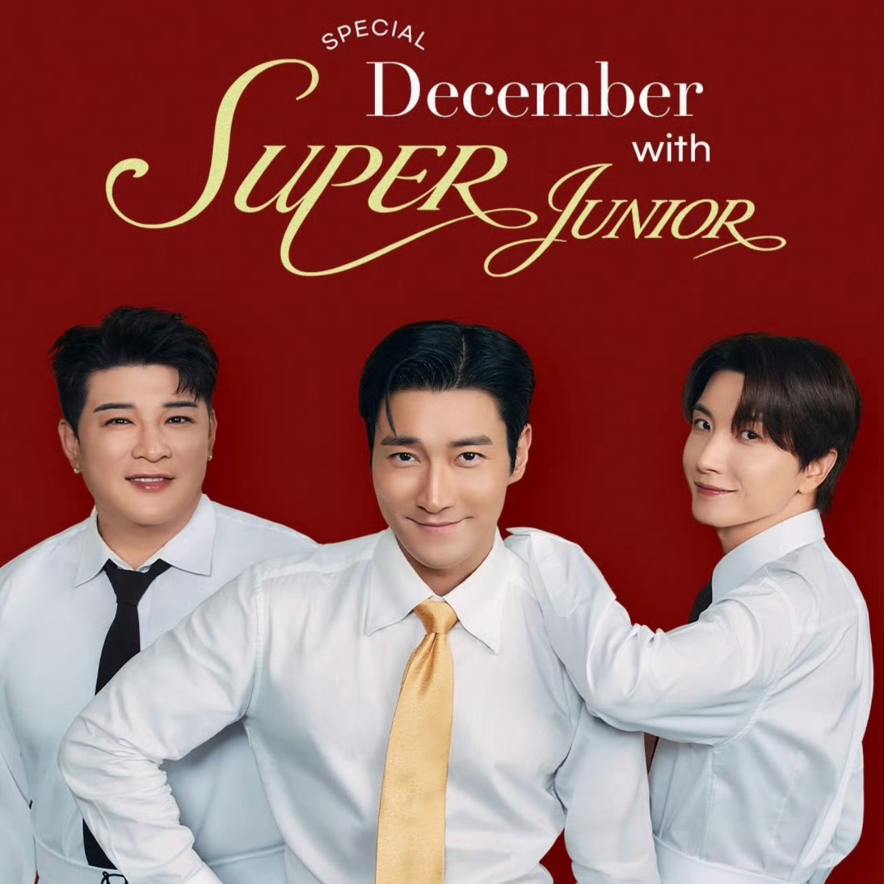 A moment captured by Siwon (Super Junior)'s fan