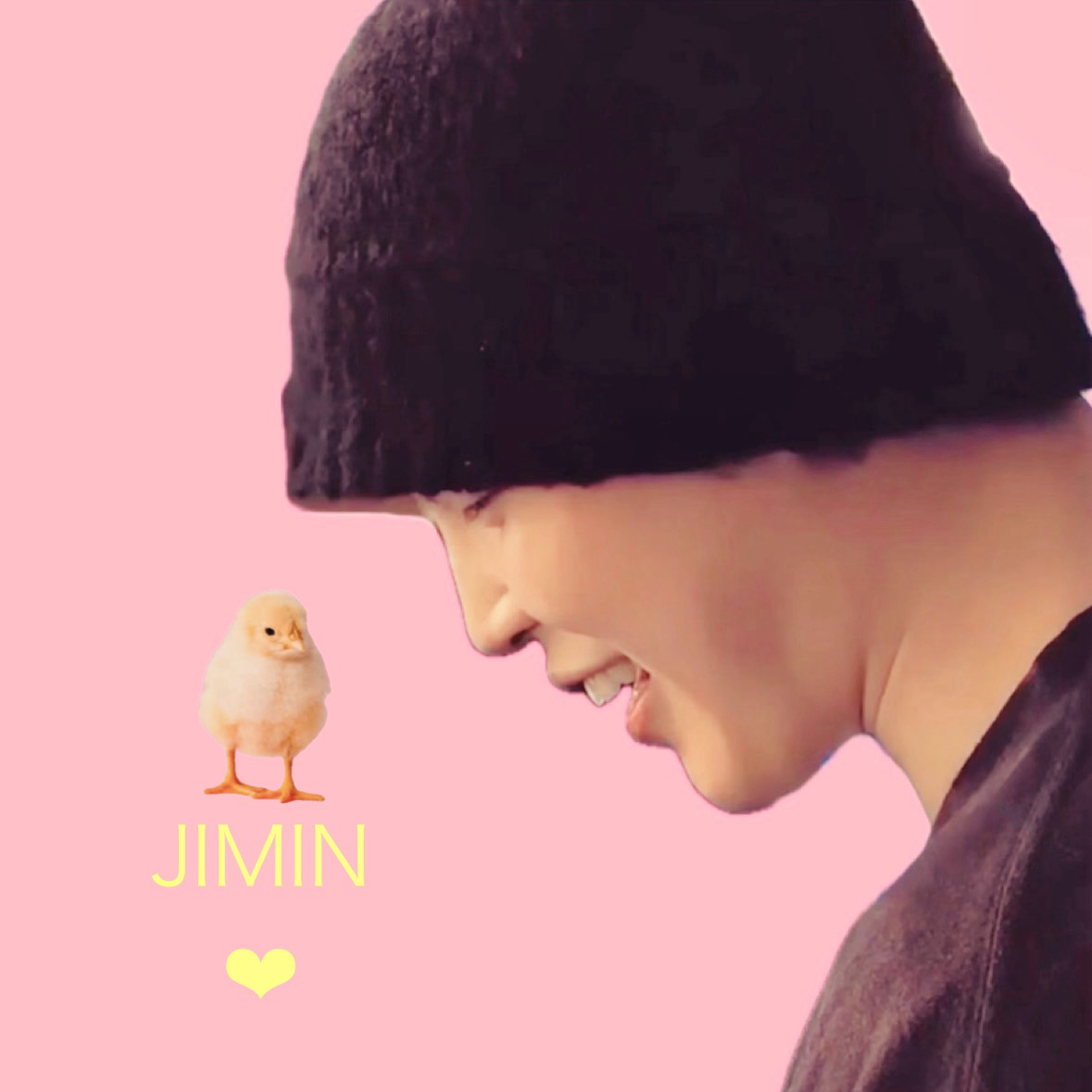 지민 (방탄소년단) 팬이 찍은 순간