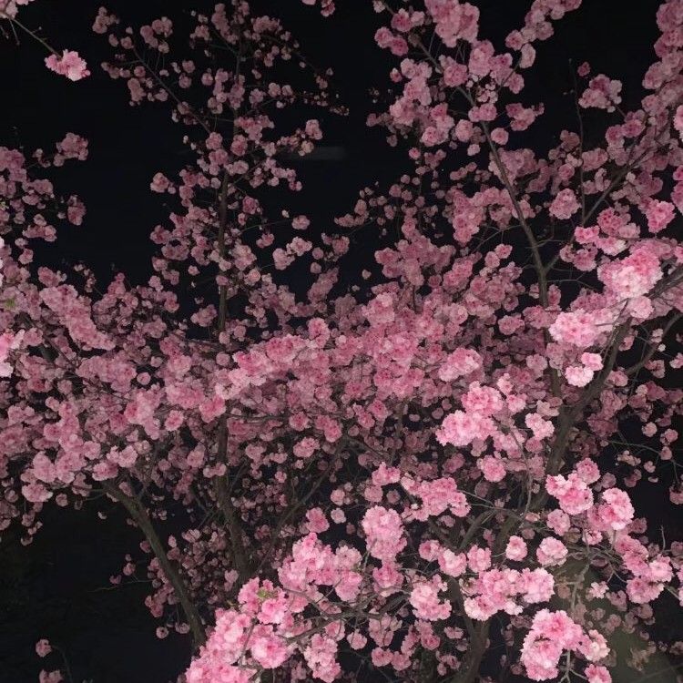 Recent activity shot of Lay (EXO)